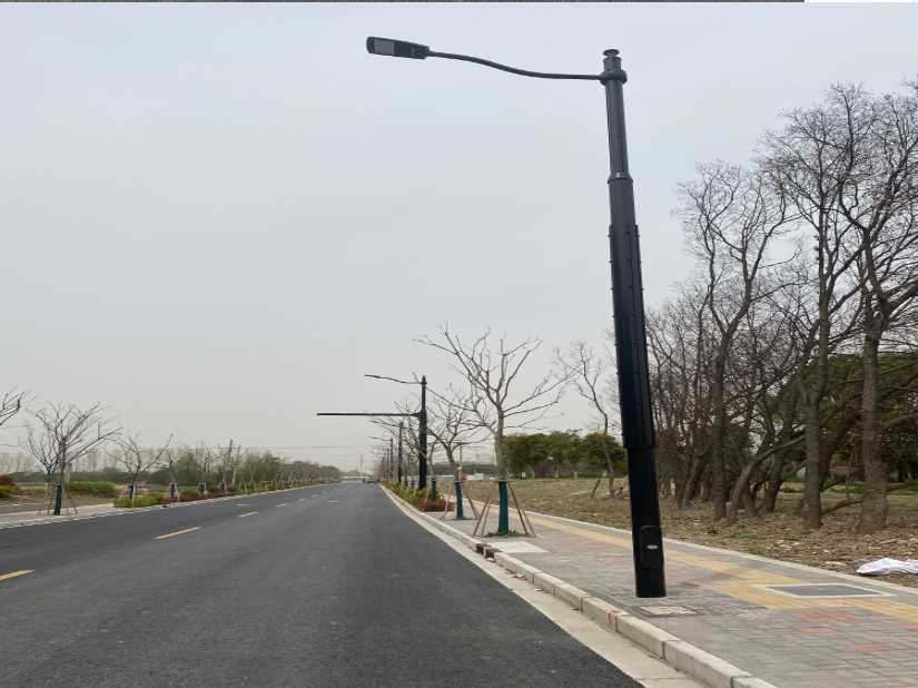 辽阳县上海综合杆 太阳能路灯工程